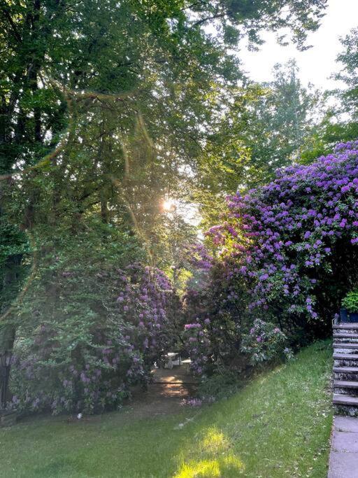 Sorpe Lodge - Entspannte Urlaubstage Am See! Langscheid  Bagian luar foto
