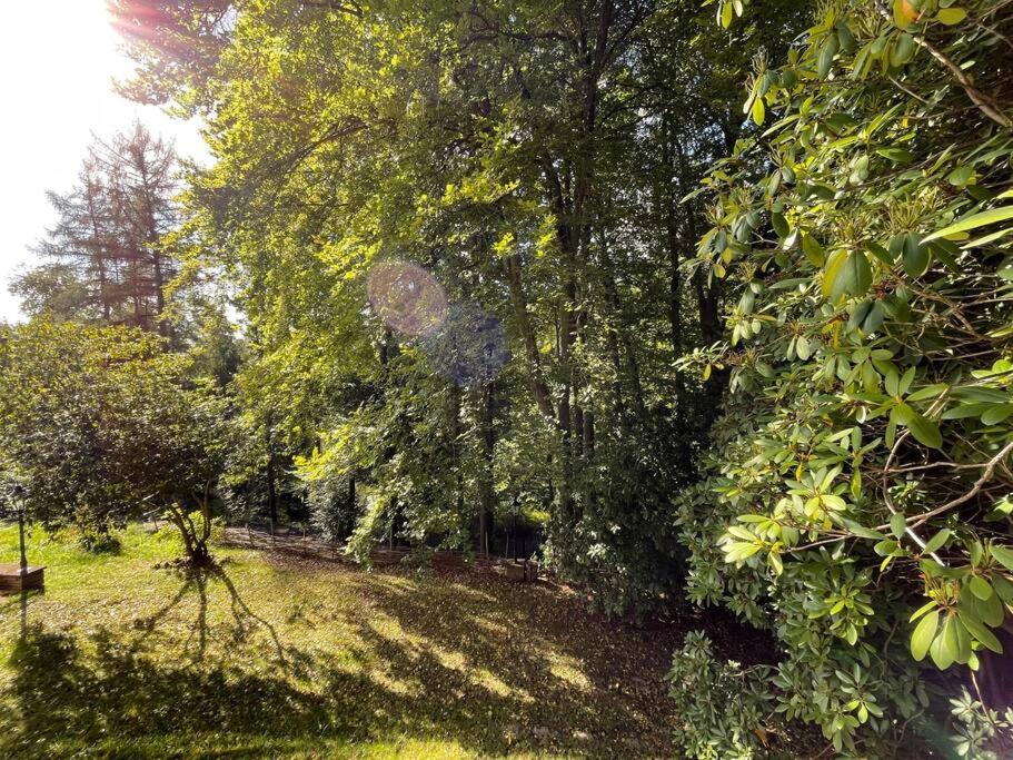 Sorpe Lodge - Entspannte Urlaubstage Am See! Langscheid  Bagian luar foto