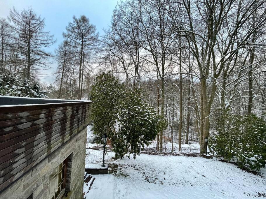 Sorpe Lodge - Entspannte Urlaubstage Am See! Langscheid  Bagian luar foto